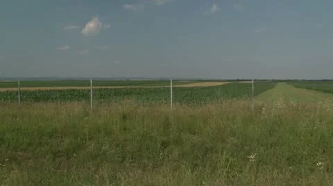 Fields Video stock 21656323