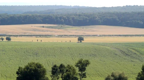 Fields Stock-Footage 26413633