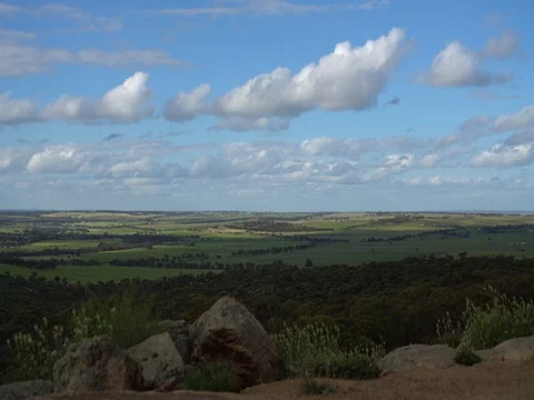 Fields Stock Footage 80679857