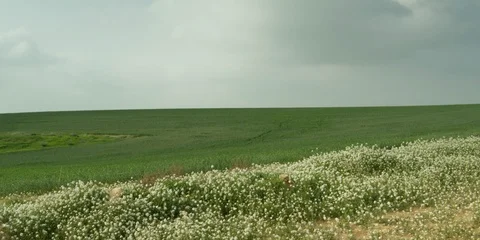 Fields Stock Footage 112924461