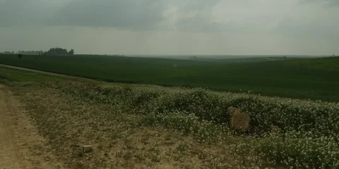 Fields Stock Footage 112924531