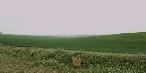 Fields Stock Footage 112924969