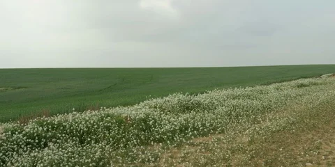 Fields Stock Footage 112925182