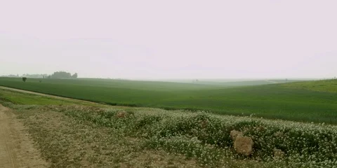 Fields Video stock 112925655