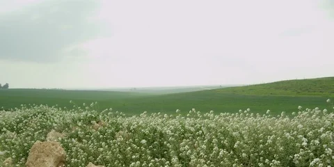 Fields Stock Footage 112926138