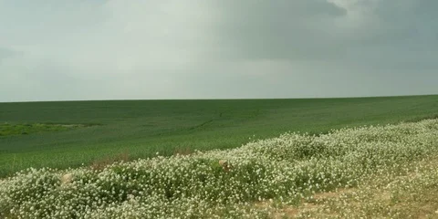 Fields Stock Footage 112926178