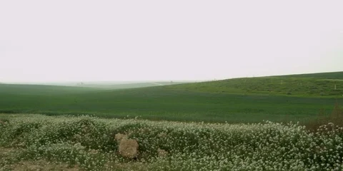Fields Stock Footage 112926321