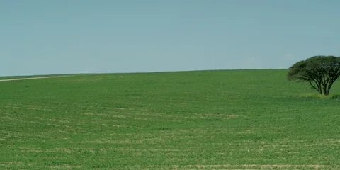 Fields Video stock 112927384