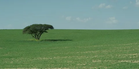 Fields Video stock 112927412