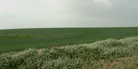 Fields Stock Footage 112927496