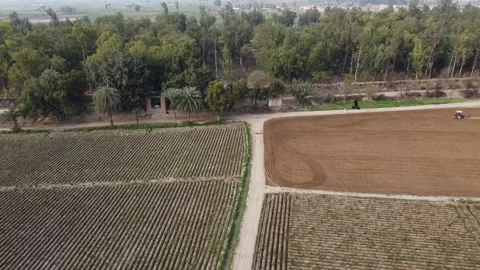 Fields Video stock 194658968