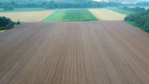 Fields Stock-Footage 202204591