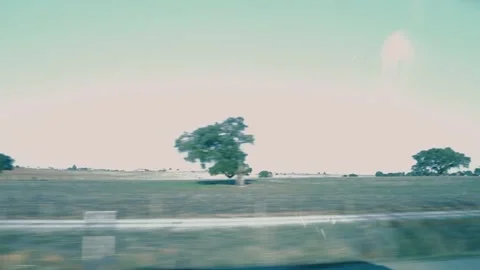 Fields Video stock 265105737