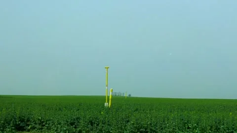 Fields Video stock 272587205