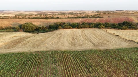 Fields Stock Footage 335263395