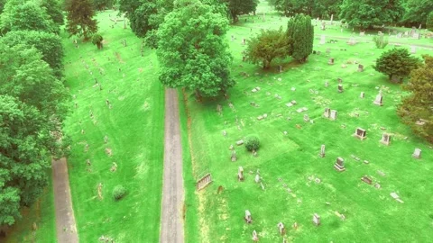 The Fields Video stock 335881399