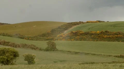 Fields Stock Footage 336392786