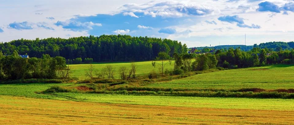 Fields, forest and sky Stock Photos
