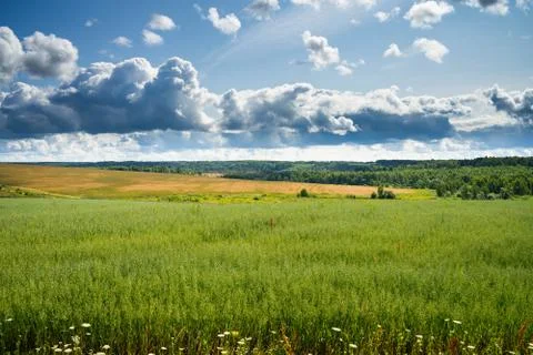 Fields, forests, blue sky Stock Photos