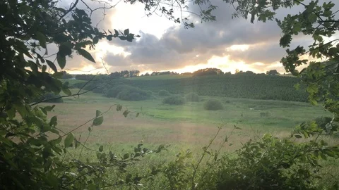 Fields in a Frame of Leaves 4K Nature Sunset Stock Footage 114774841