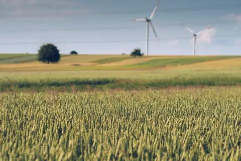 Fields full of crops with wind turbines in the background Stock Photos
