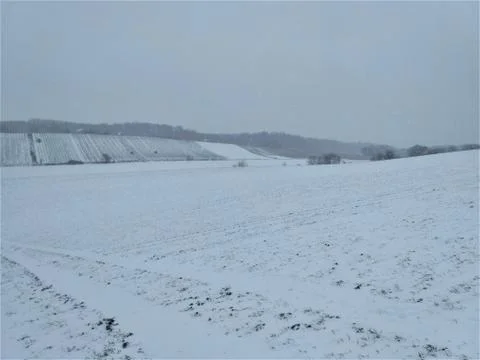 Fields in Germany covered in snow Stock Photos
