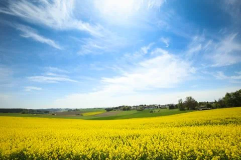 Fields in Germany Stock Photos