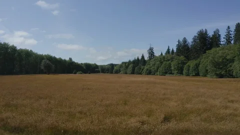 Fields of gold Stock Footage 112294322