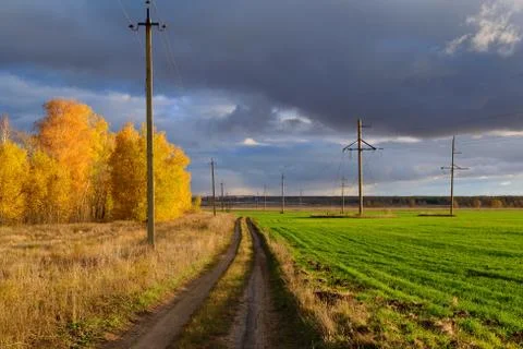 Fields with green crops under the bright sun Stock Photos