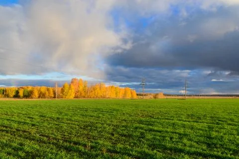 Fields with green crops under the bright sun Stock Photos