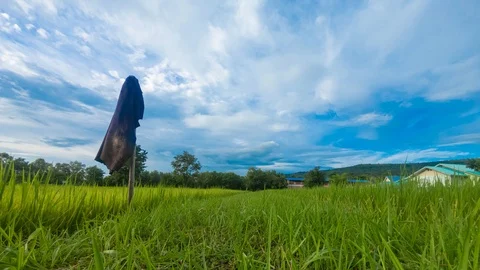 Fields, green grass after harvesting, sky, clouds,Timelapse Stock Footage 116589810