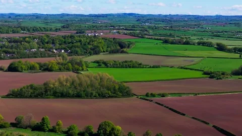 Fields of green patch the rural scene, where agricultural land convenes Vidéo 345183392