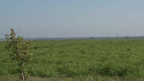 The fields of the Hatay Province in Turkey viewed from a car, 4K Video Stock Footage 146029088