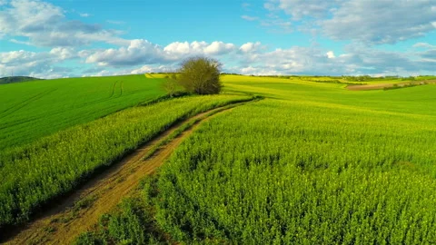 Fields from the Height of Bird's Flight 스톡 동영상 106456466