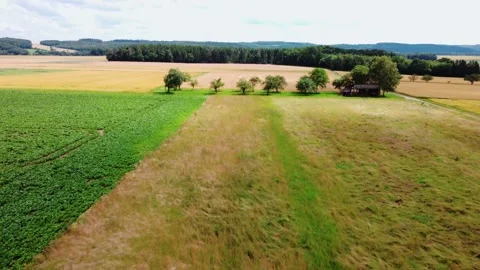 The fields on the hill Stock Footage 161658431