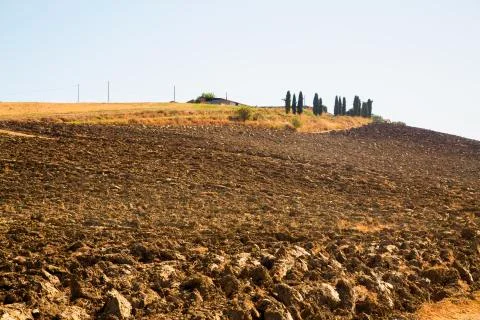 Fields of a hill Stock Photos