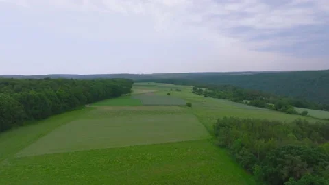 Fields on a hill by the road 動画素材 194897220