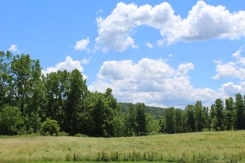 Fields, hills and trees in Ithaca, New York Stock Photos