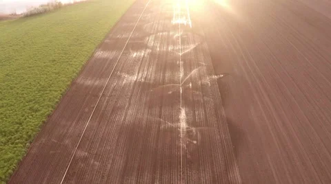 Fields irrigation in spring Stock Footage 49542869