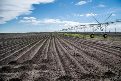 Fields with an irrigation system Stock Photos