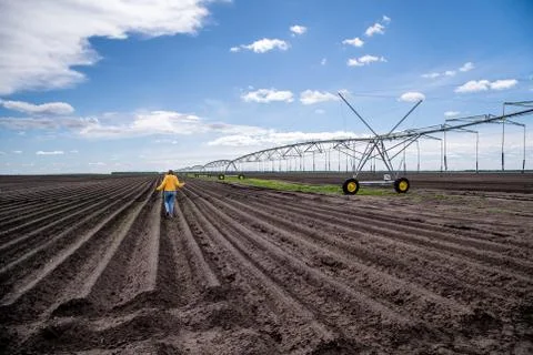 Fields with an irrigation system Stock Photos