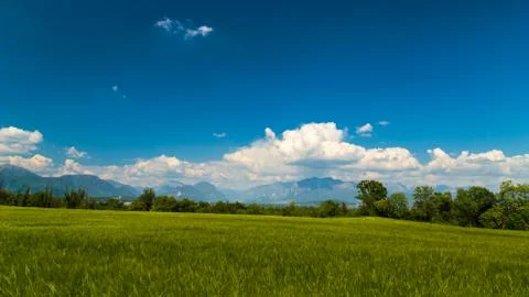 Fields of Italy in a spring day Stock Photos