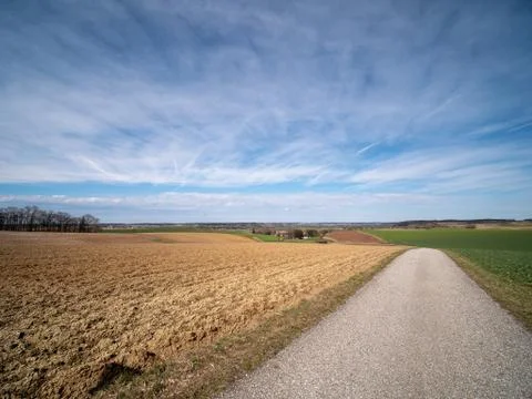 Fields on lane Stock Photos
