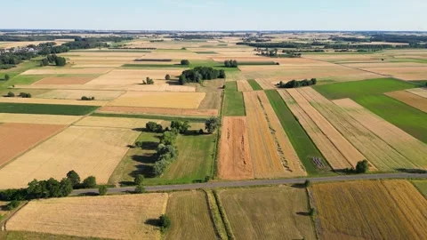 Fields in Mazowsze region of Poland Stock Footage 315532707