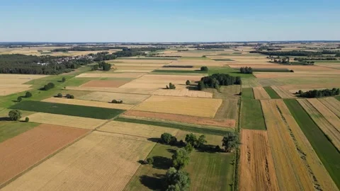 Fields in Mazowsze region of Poland Stock Footage 315532708