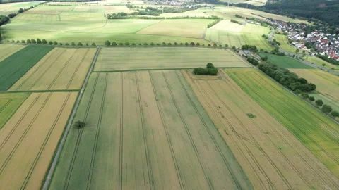 Fields, meadows and agricultural area in summertime 스톡 동영상 134180338