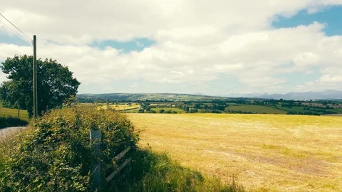 Fields, meadows, hills and mountains. Wales Video stock 114773382