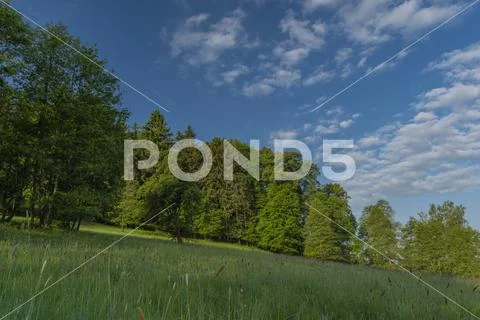 Fields meadows pasture land in national park in spring color morning Stock Photos