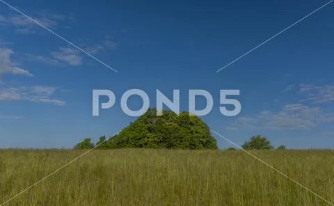 Fields meadows pasture land in national park in spring color morning Stock Photos
