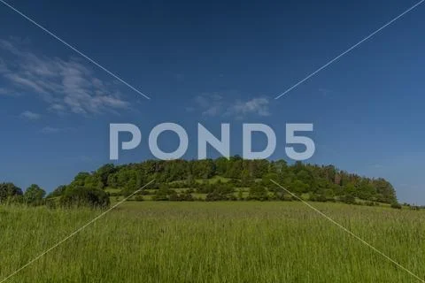 Fields meadows pasture land in national park in spring color morning Stock Photos